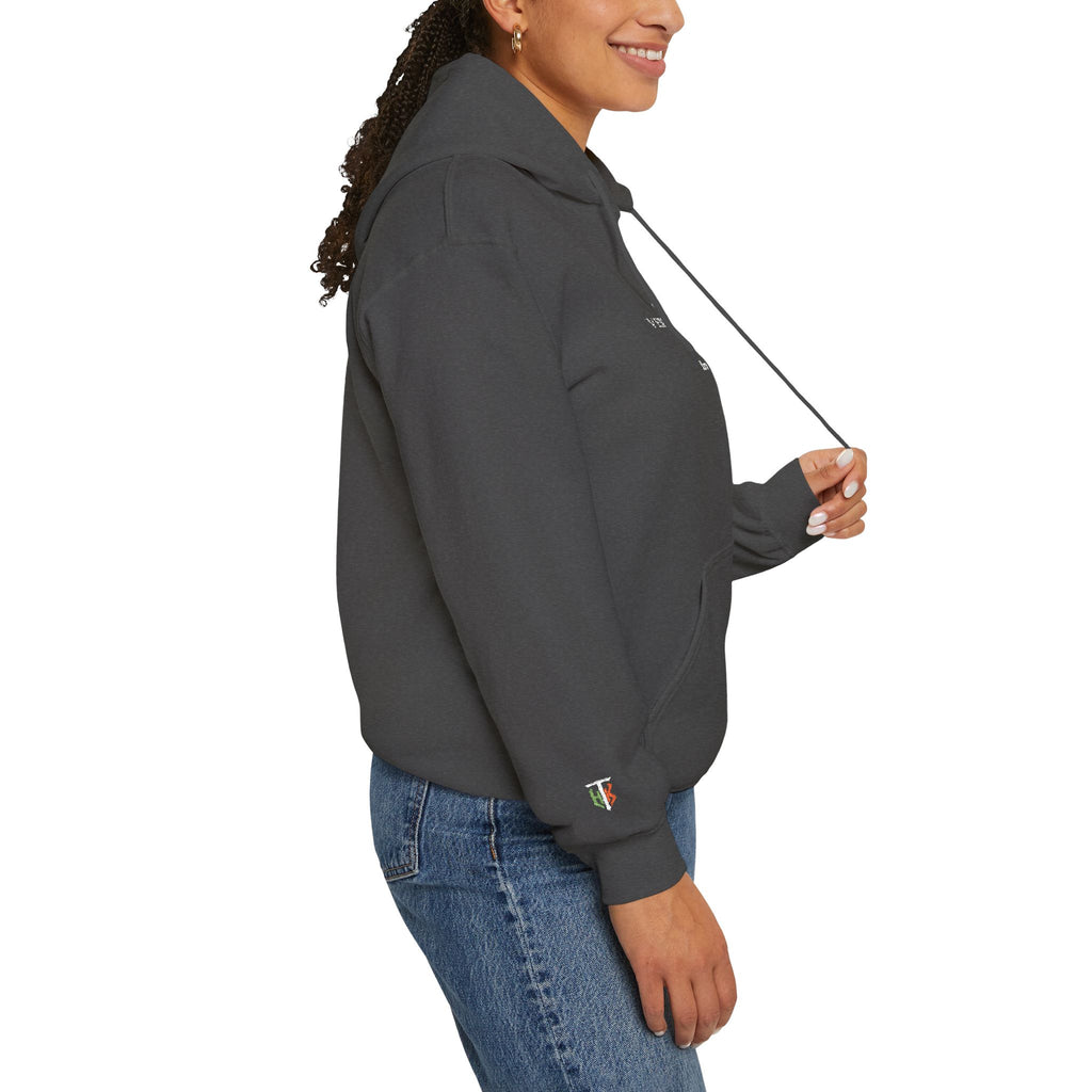 Veritas Aequitas. Embroidered Hoodie