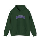 HTown Embroidered hoodie