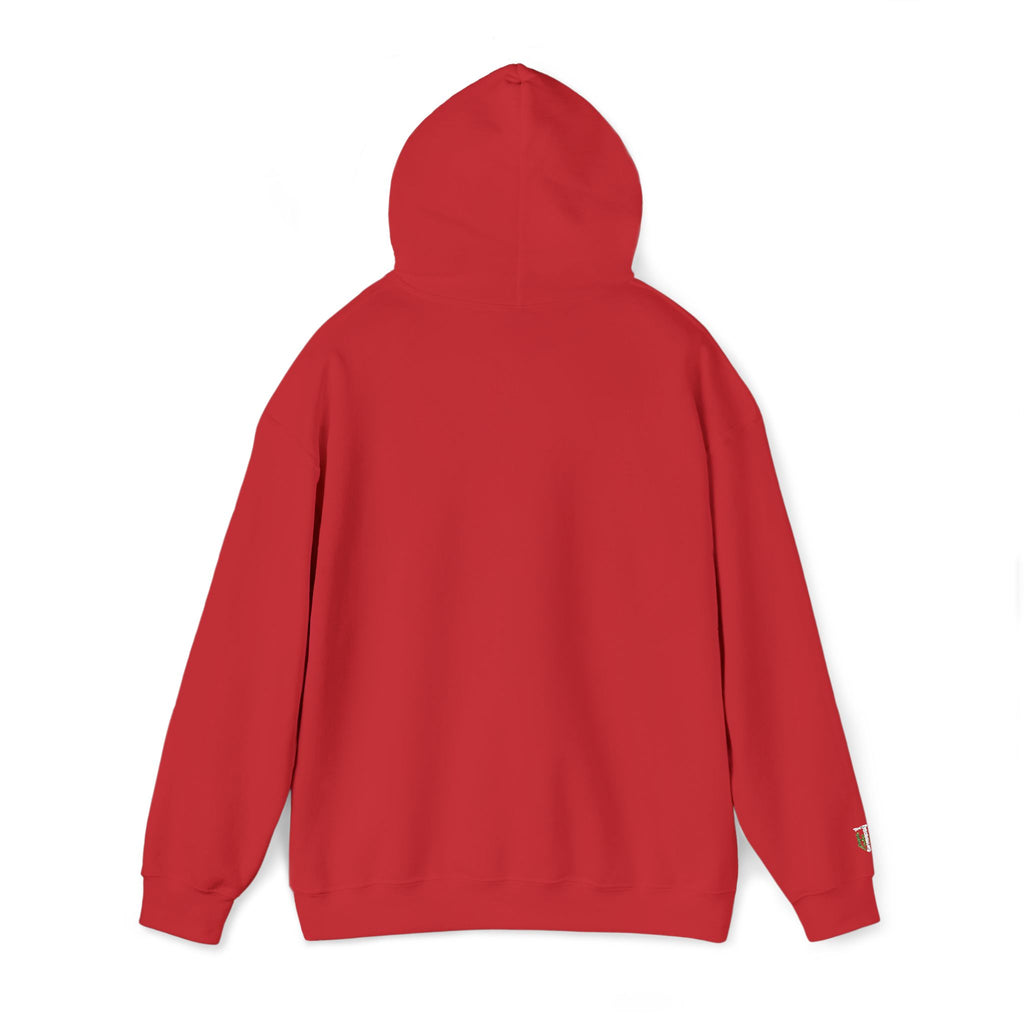 'Veritas Aequitas' Embroidered Streetwear Pullover