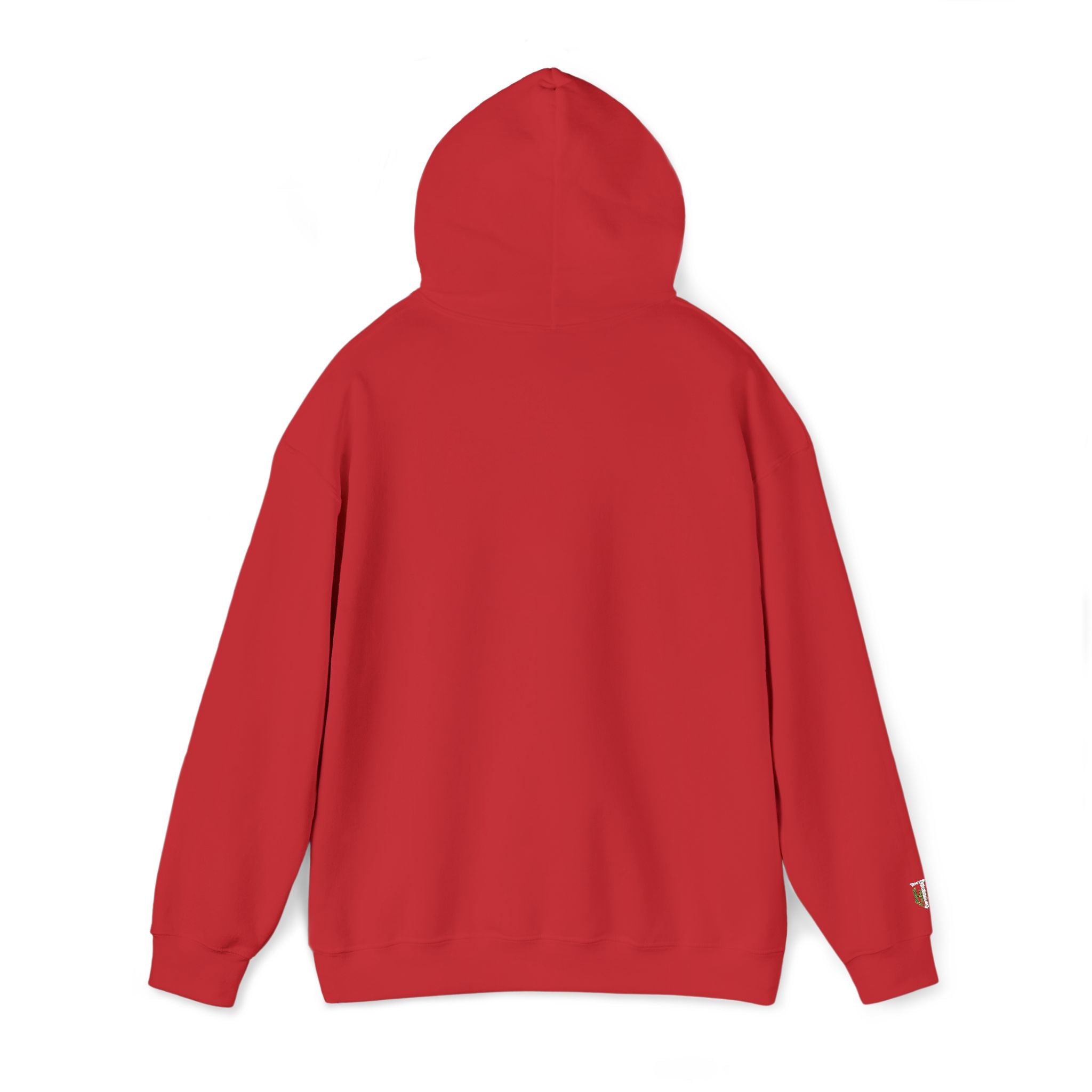'Veritas Aequitas' Embroidered Streetwear Pullover
