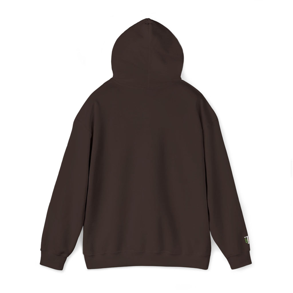'Veritas Aequitas' Embroidered Streetwear Pullover