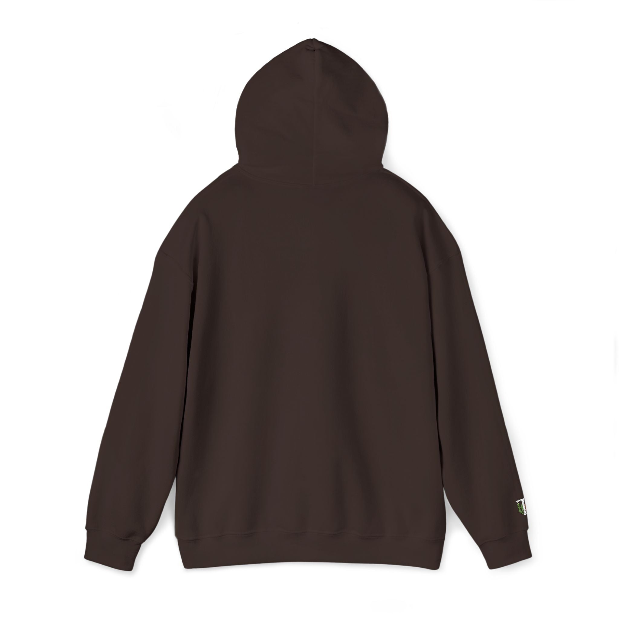 'Veritas Aequitas' Embroidered Streetwear Pullover