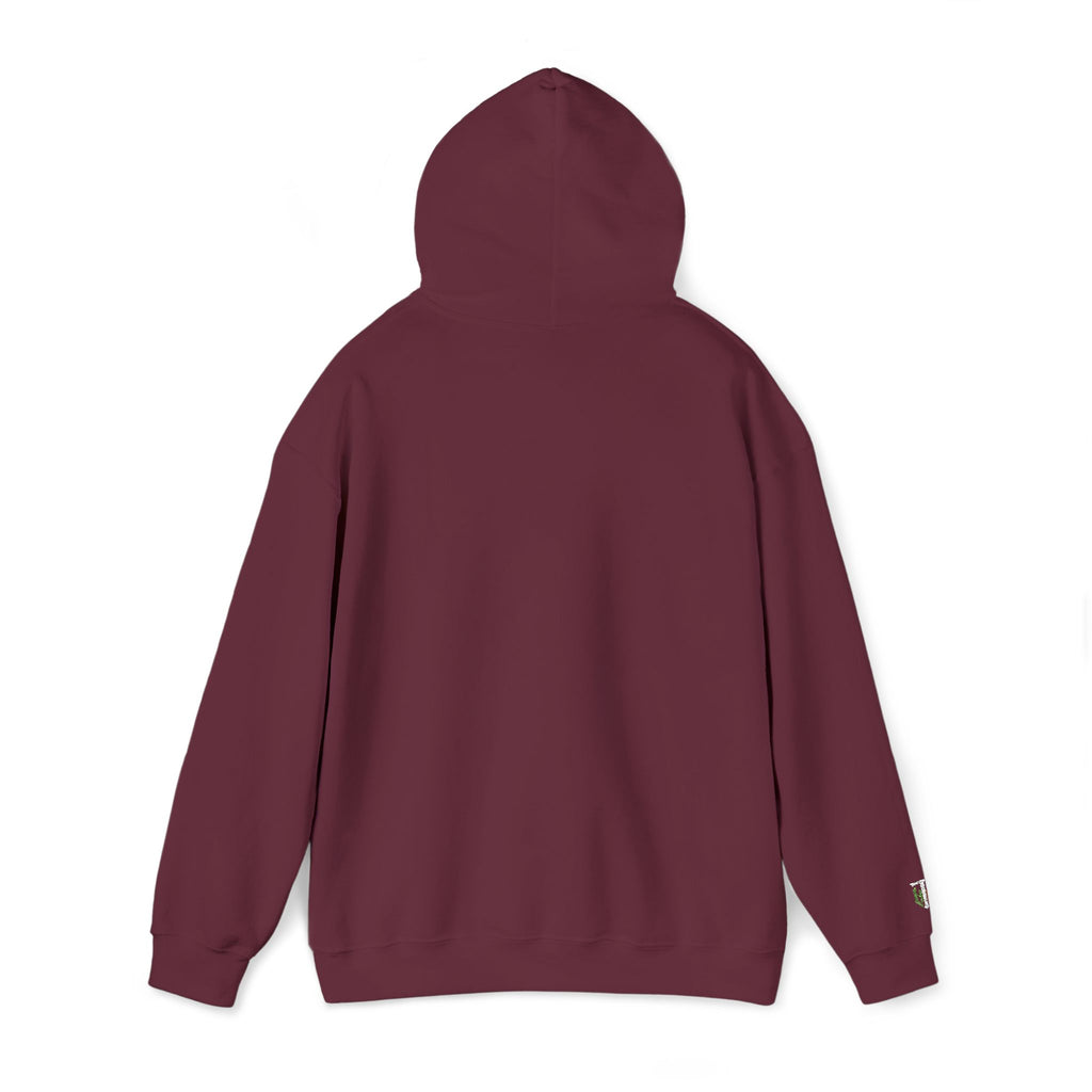 'Veritas Aequitas' Embroidered Streetwear Pullover