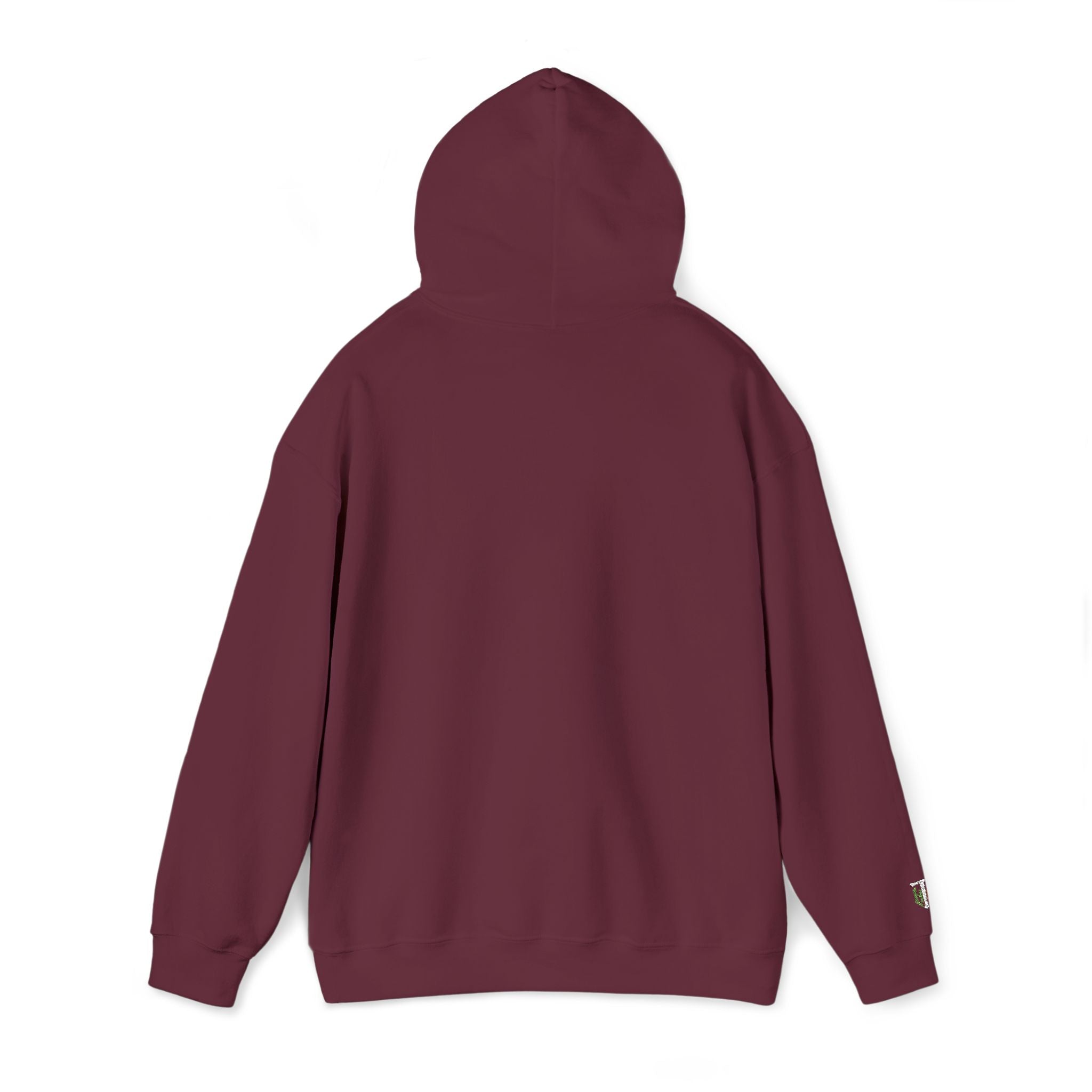 'Veritas Aequitas' Embroidered Streetwear Pullover