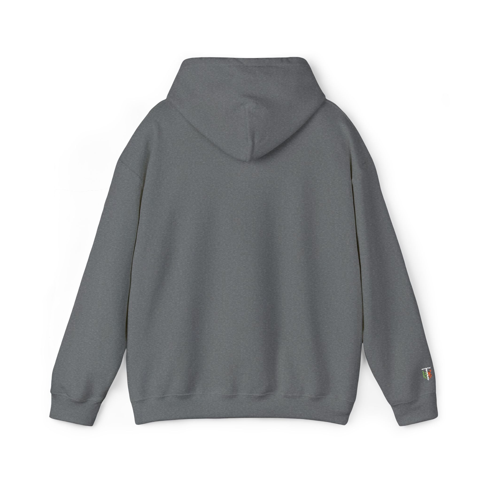 'Veritas Aequitas' Embroidered Streetwear Pullover