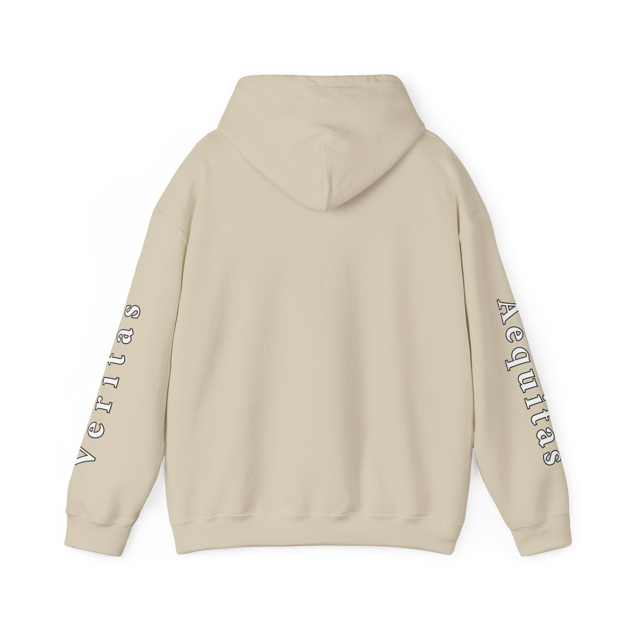 Veritas Aequitas "In Nomine Patris, et Filii, et Spiritus Sancti" Sleeve Scripture Pullover