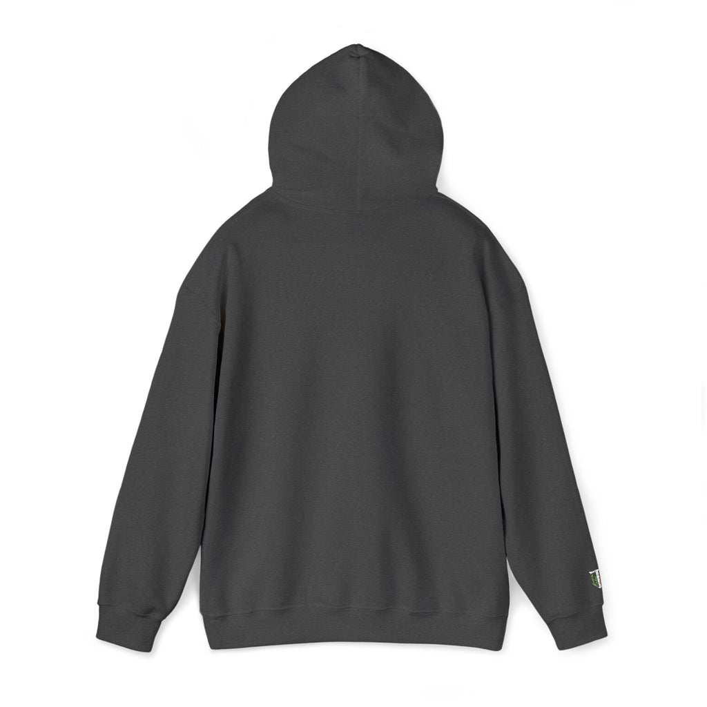 'Veritas Aequitas' Embroidered Streetwear Pullover