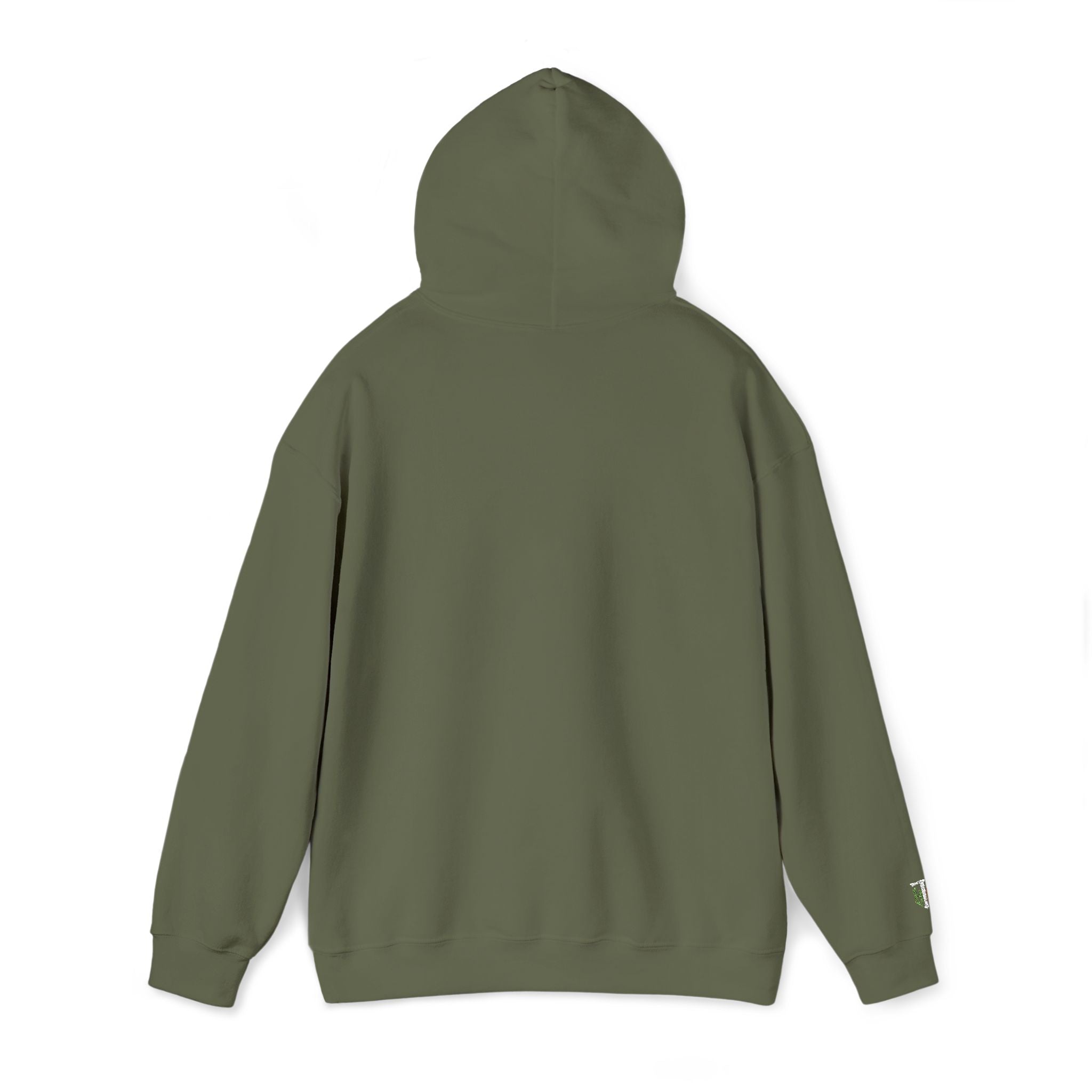'Veritas Aequitas' Embroidered Streetwear Pullover