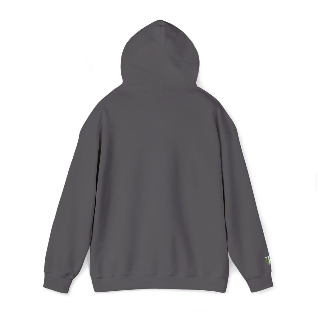 'Veritas Aequitas' Embroidered Streetwear Pullover