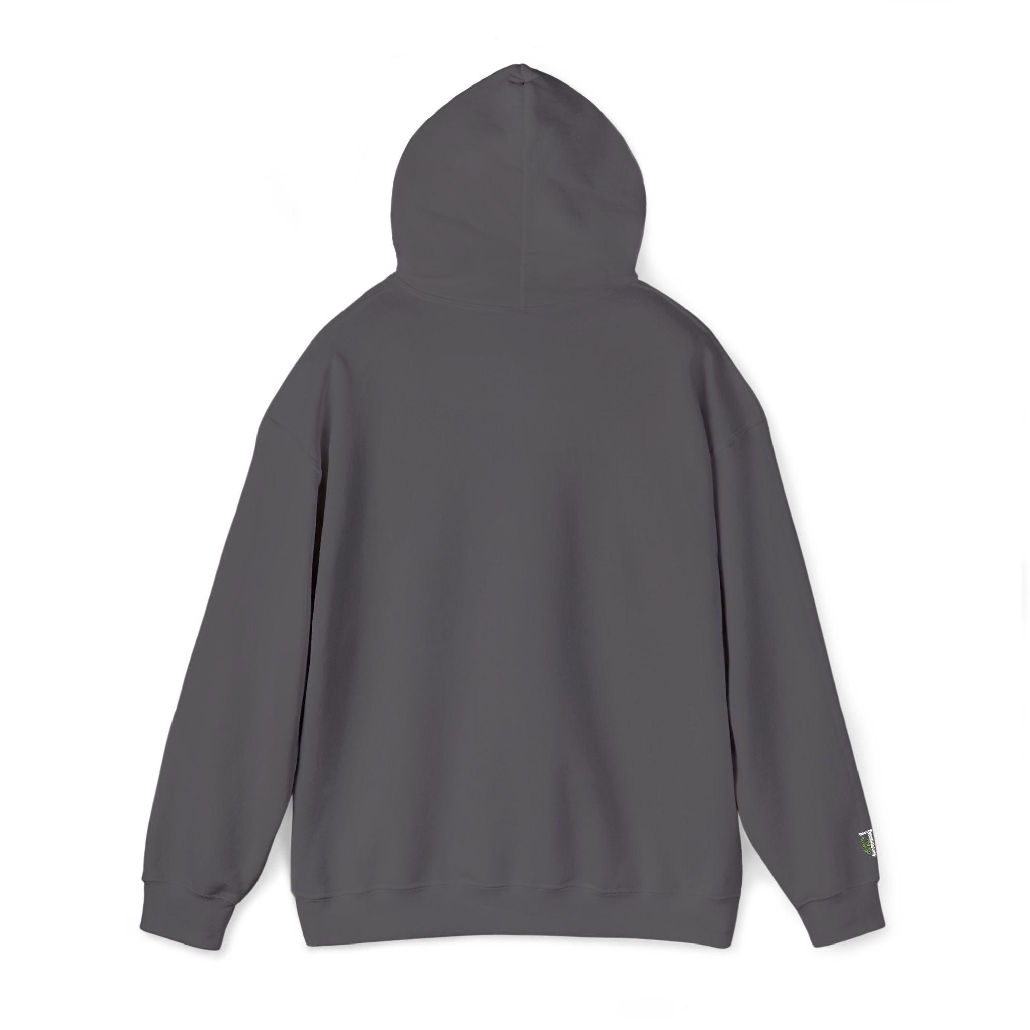 'Veritas Aequitas' Embroidered Streetwear Pullover