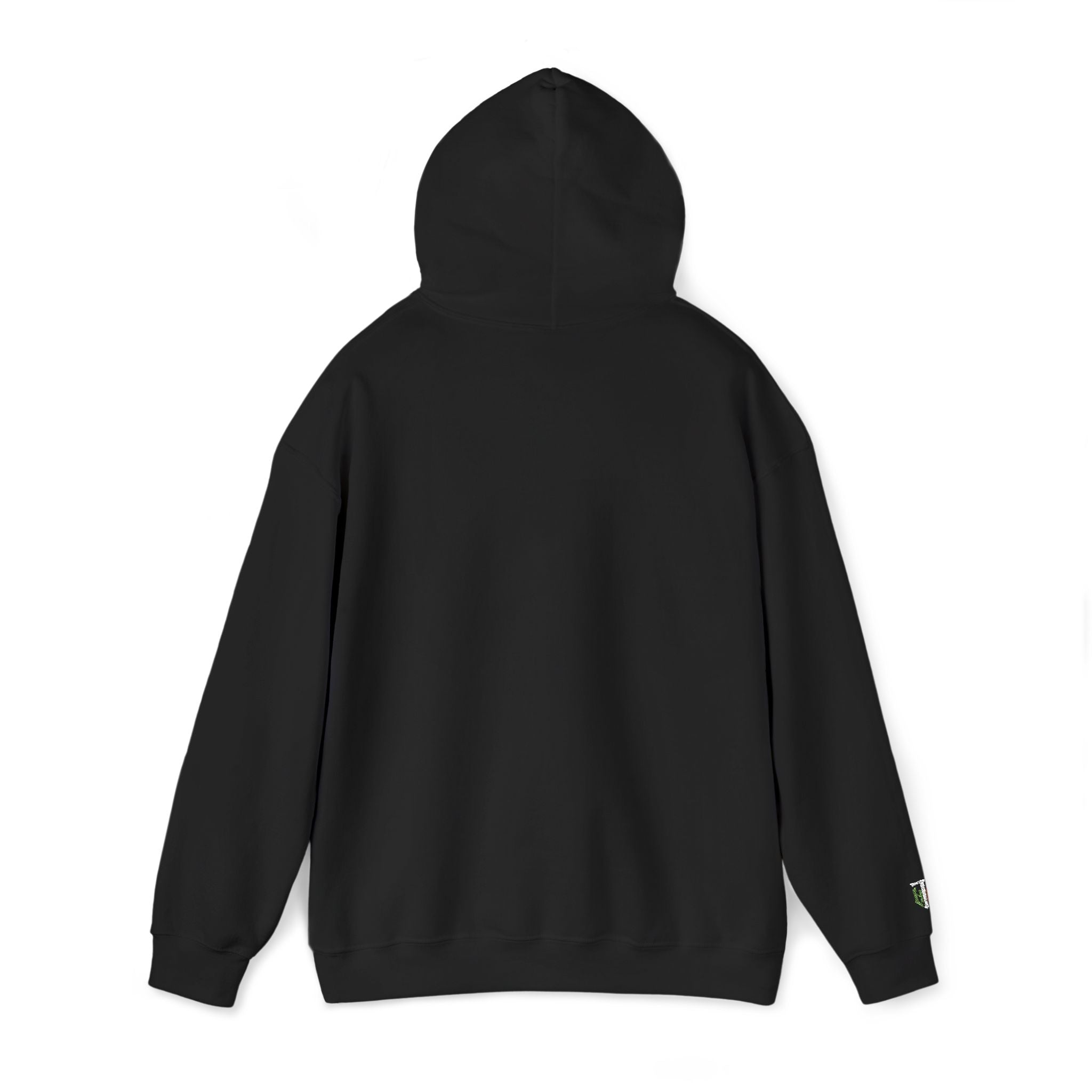 'Veritas Aequitas' Embroidered Streetwear Pullover