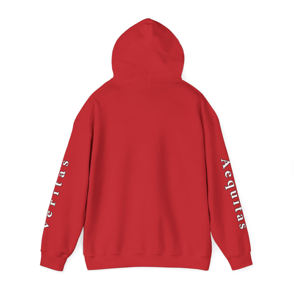 Veritas Aequitas "In Nomine Patris, et Filii, et Spiritus Sancti" Sleeve Scripture Pullover