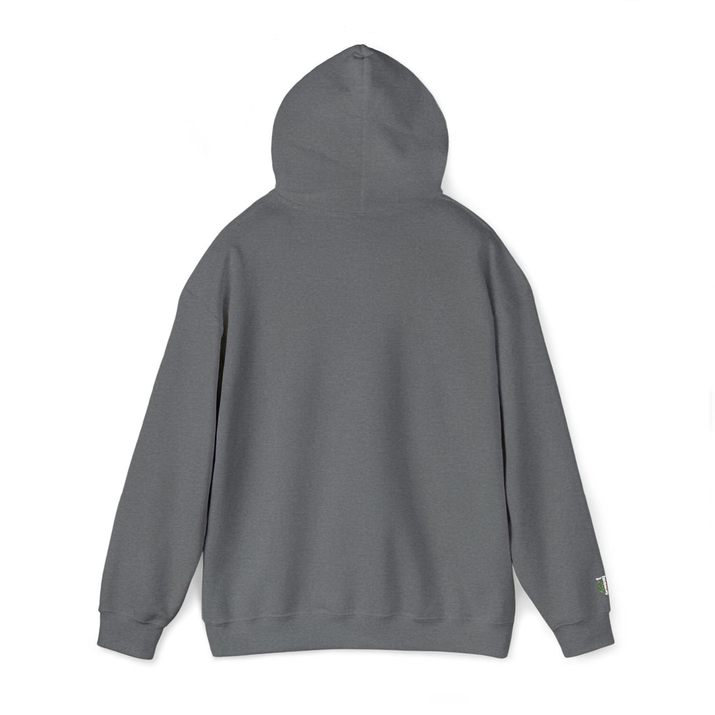 'Veritas Aequitas' Embroidered Streetwear Pullover