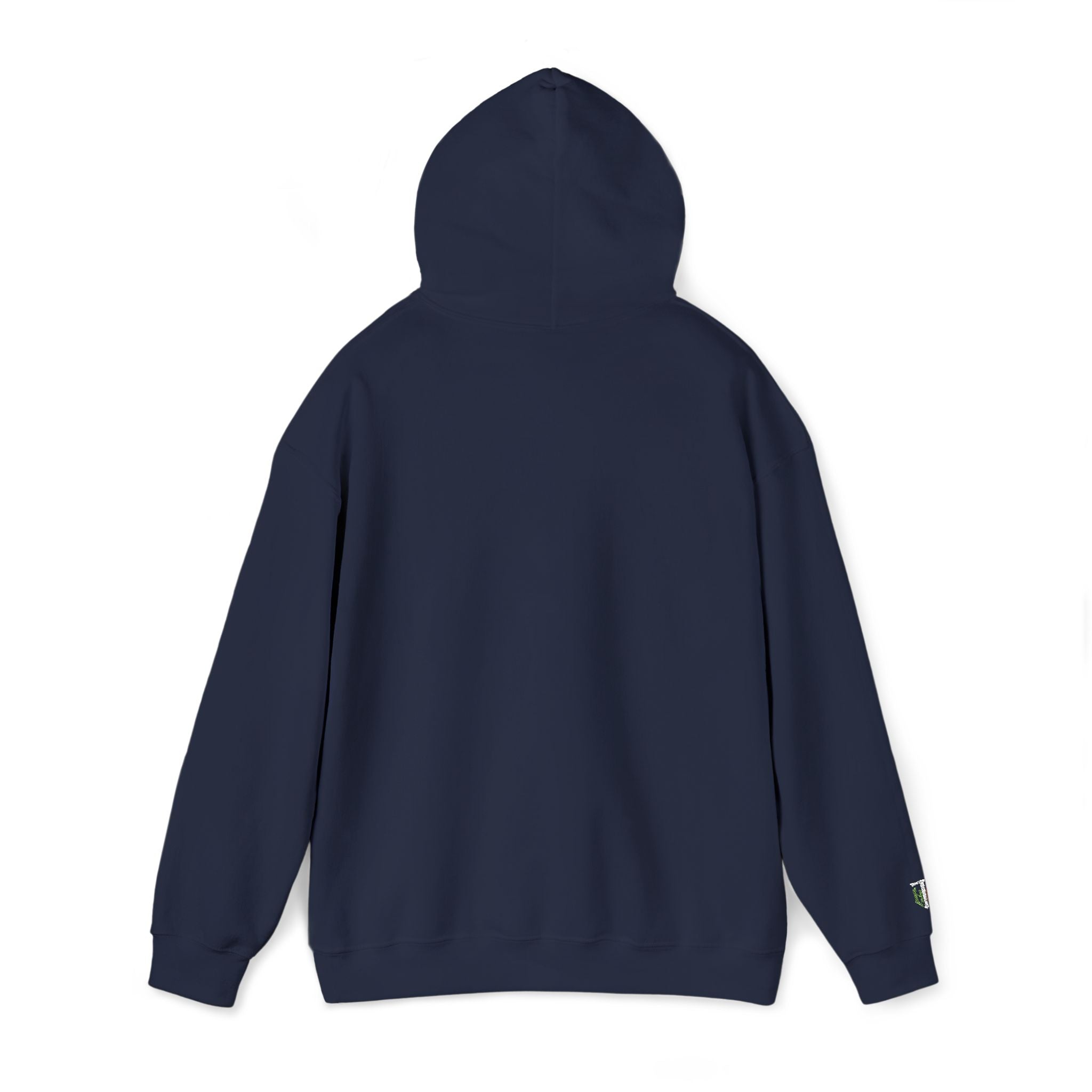 'Veritas Aequitas' Embroidered Streetwear Pullover