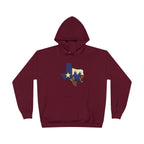 Texas State Hoodie with Bluebonnet & Lone Star