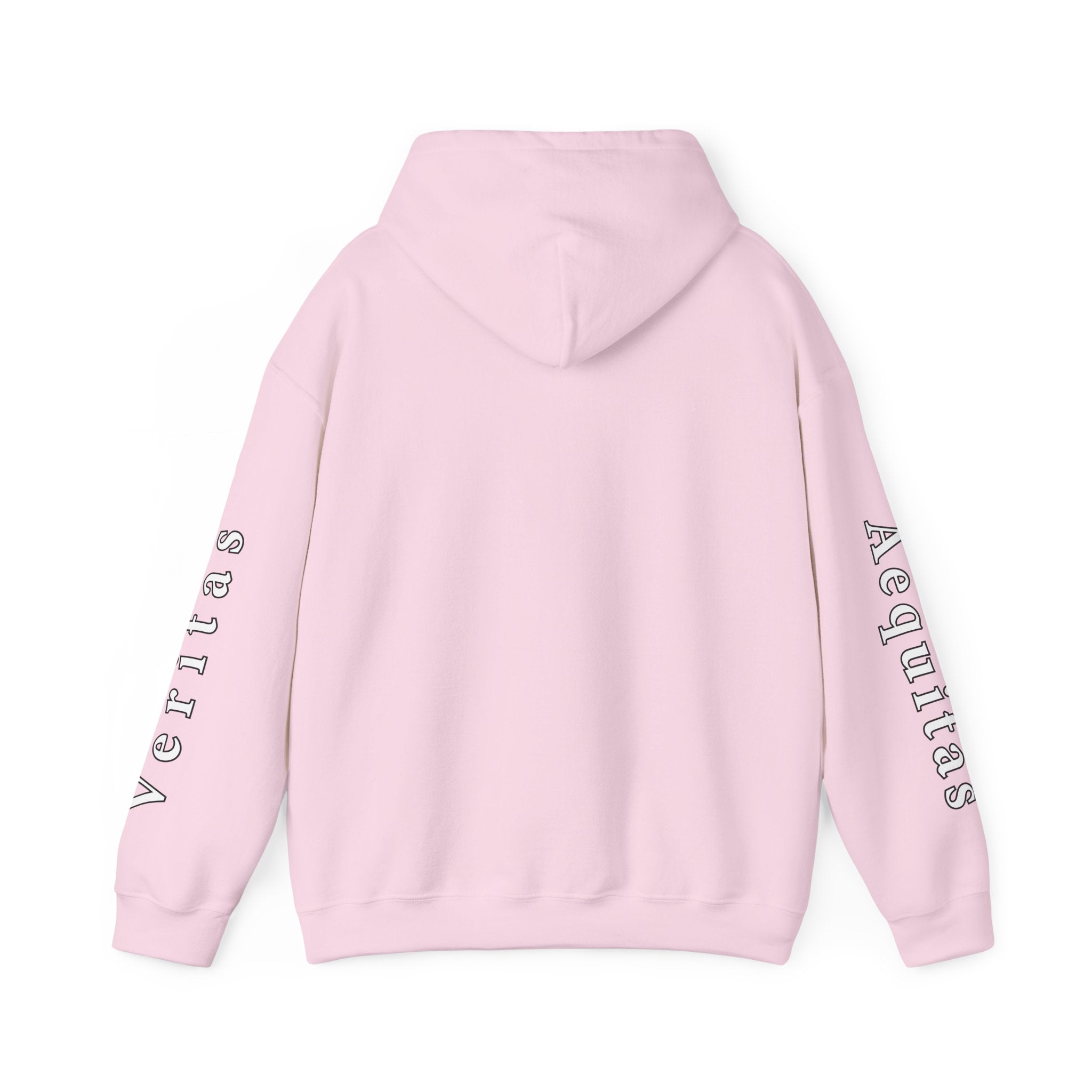 Veritas Aequitas "In Nomine Patris, et Filii, et Spiritus Sancti" Sleeve Scripture Pullover