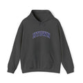 HTown Embroidered hoodie