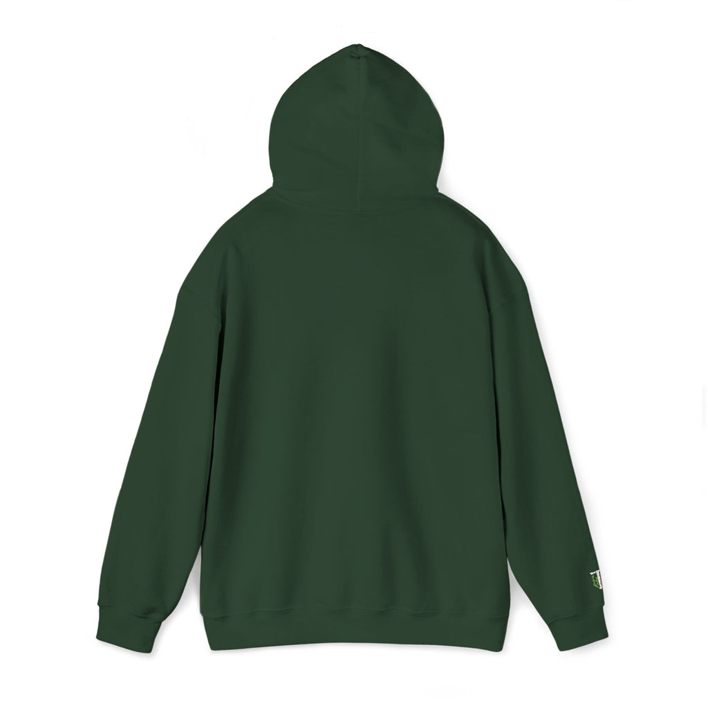 'Veritas Aequitas' Embroidered Streetwear Pullover