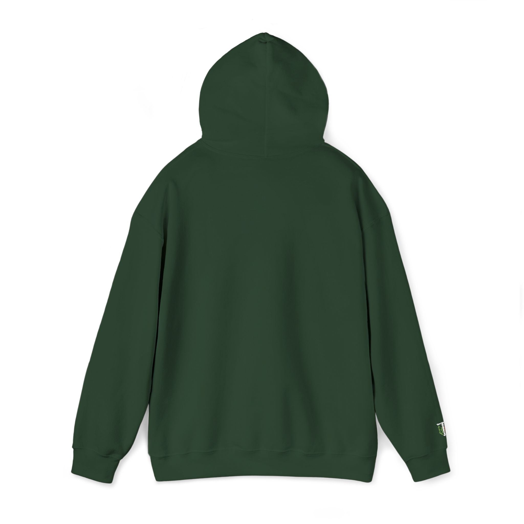 'Veritas Aequitas' Embroidered Streetwear Pullover
