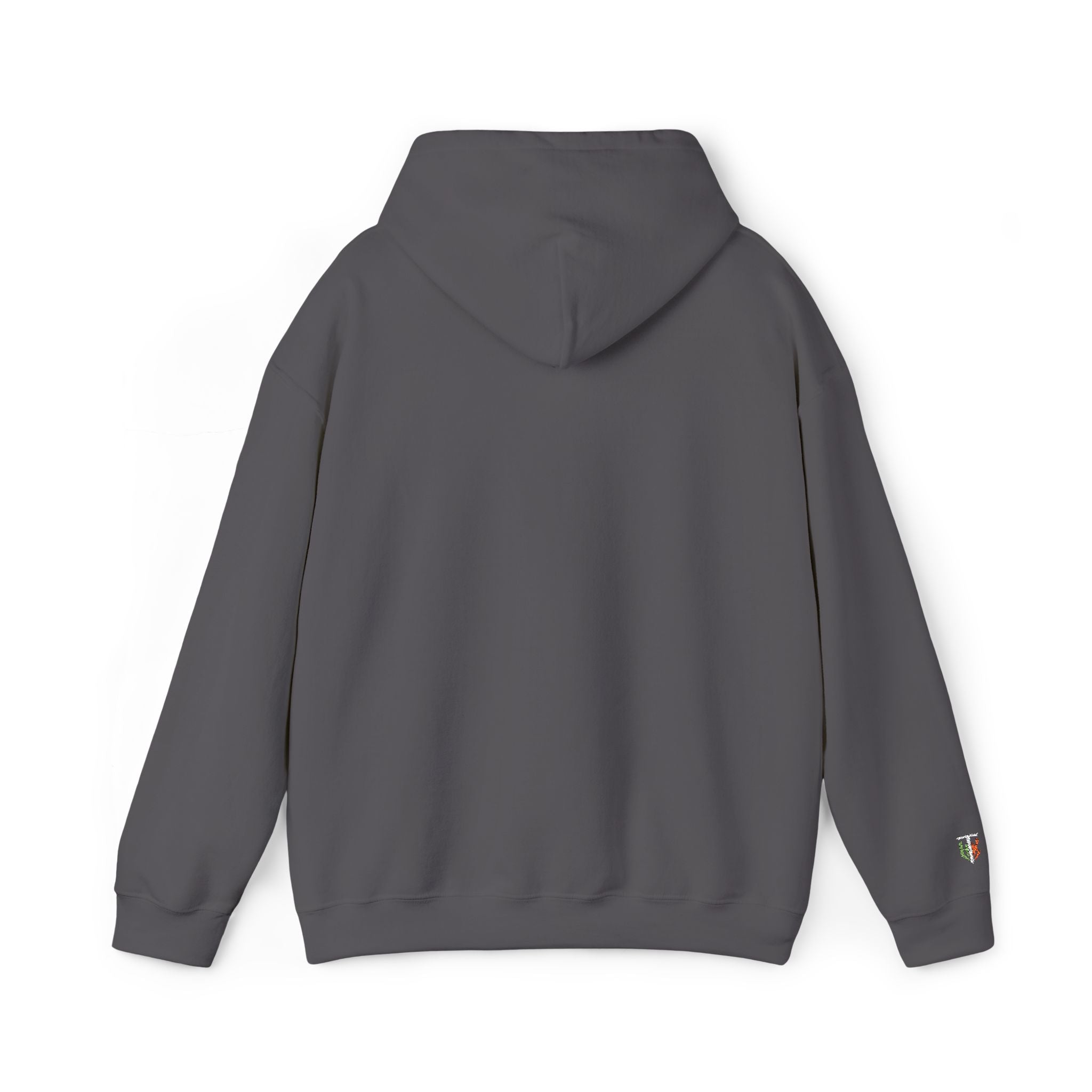 'Veritas Aequitas' Embroidered Streetwear Pullover