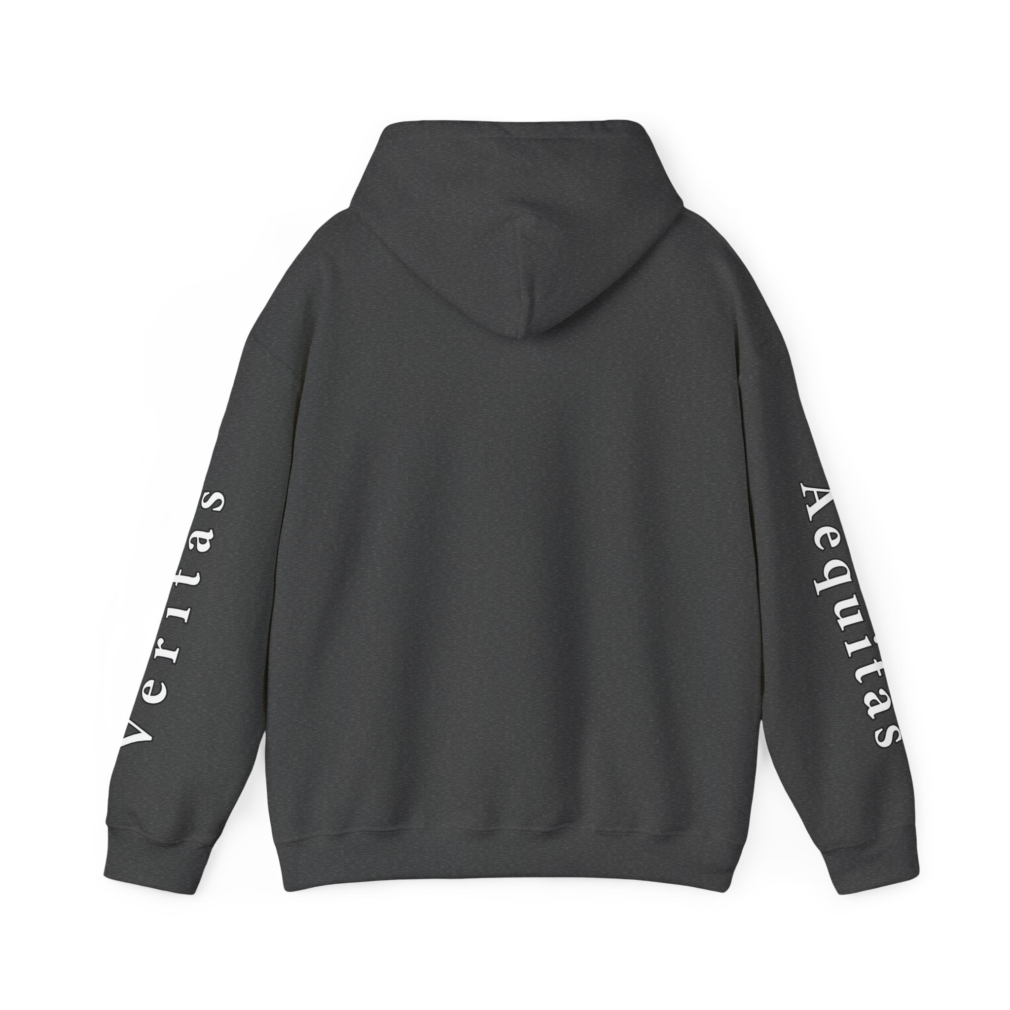 Veritas Aequitas "In Nomine Patris, et Filii, et Spiritus Sancti" Sleeve Scripture Pullover