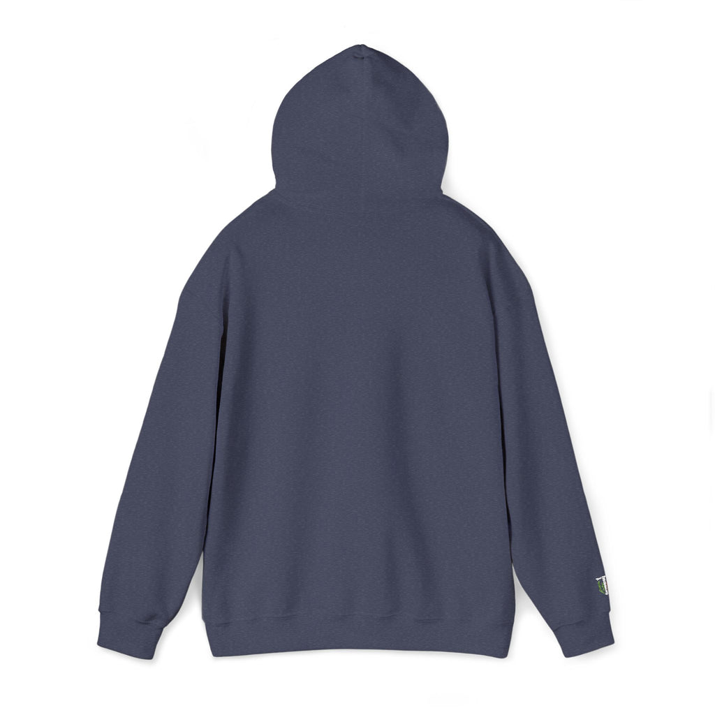 'Veritas Aequitas' Embroidered Streetwear Pullover