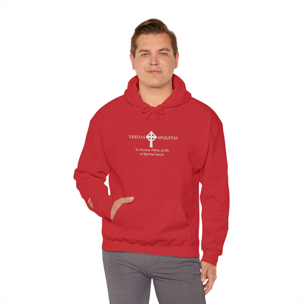 Veritas Aequitas. Embroidered Hoodie