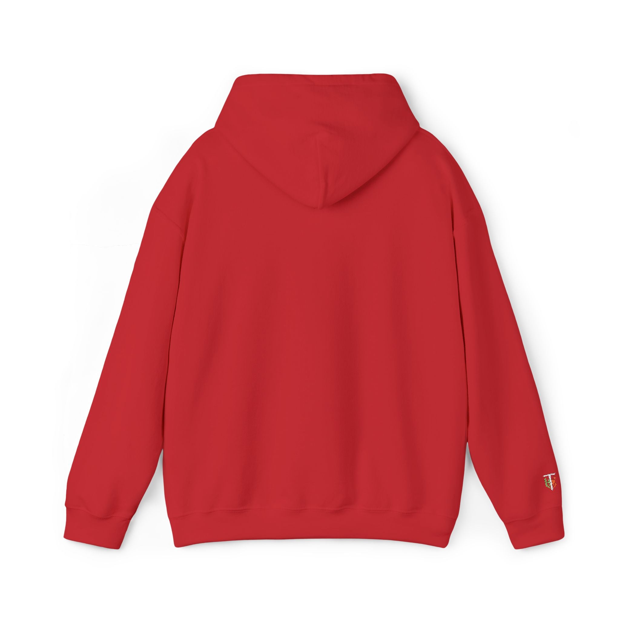 'Veritas Aequitas' Embroidered Streetwear Pullover