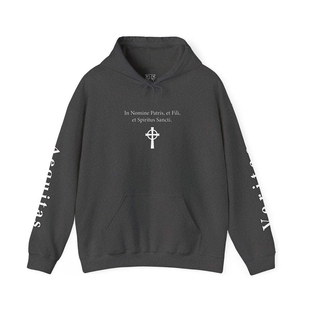 Veritas Aequitas "In Nomine Patris, et Filii, et Spiritus Sancti" Sleeve Scripture Pullover