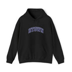HTown Embroidered hoodie
