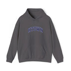 HTown Embroidered hoodie