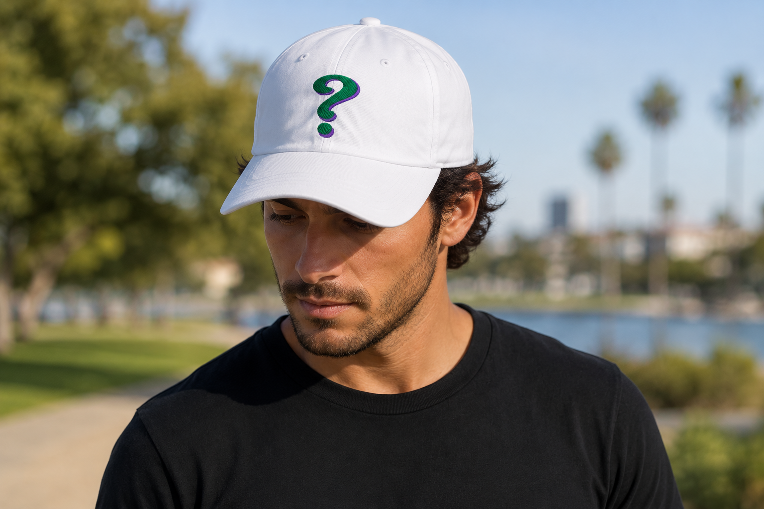 A Riddle Dad hat. puff embroidery